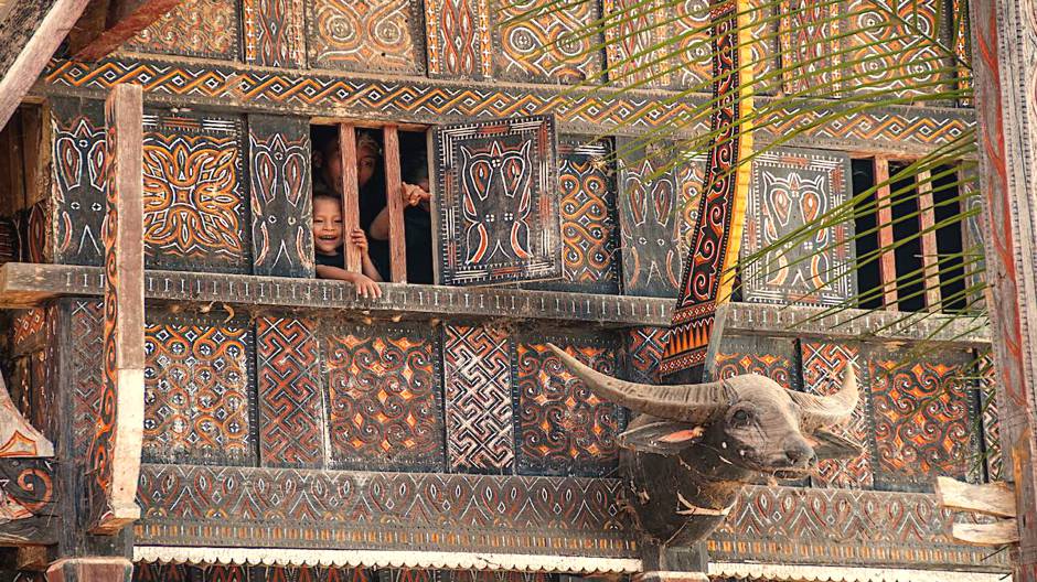 Découvrir Sulawesi - Bali En Liberté