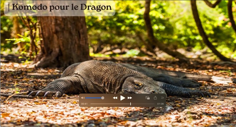 Varan de Komodo